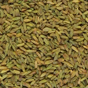 تصویر 4 از کشمش سبز طلایی مناسب استفاده روزمره