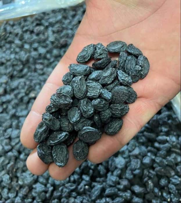 مویز ریز فخری محصول پر مصرف