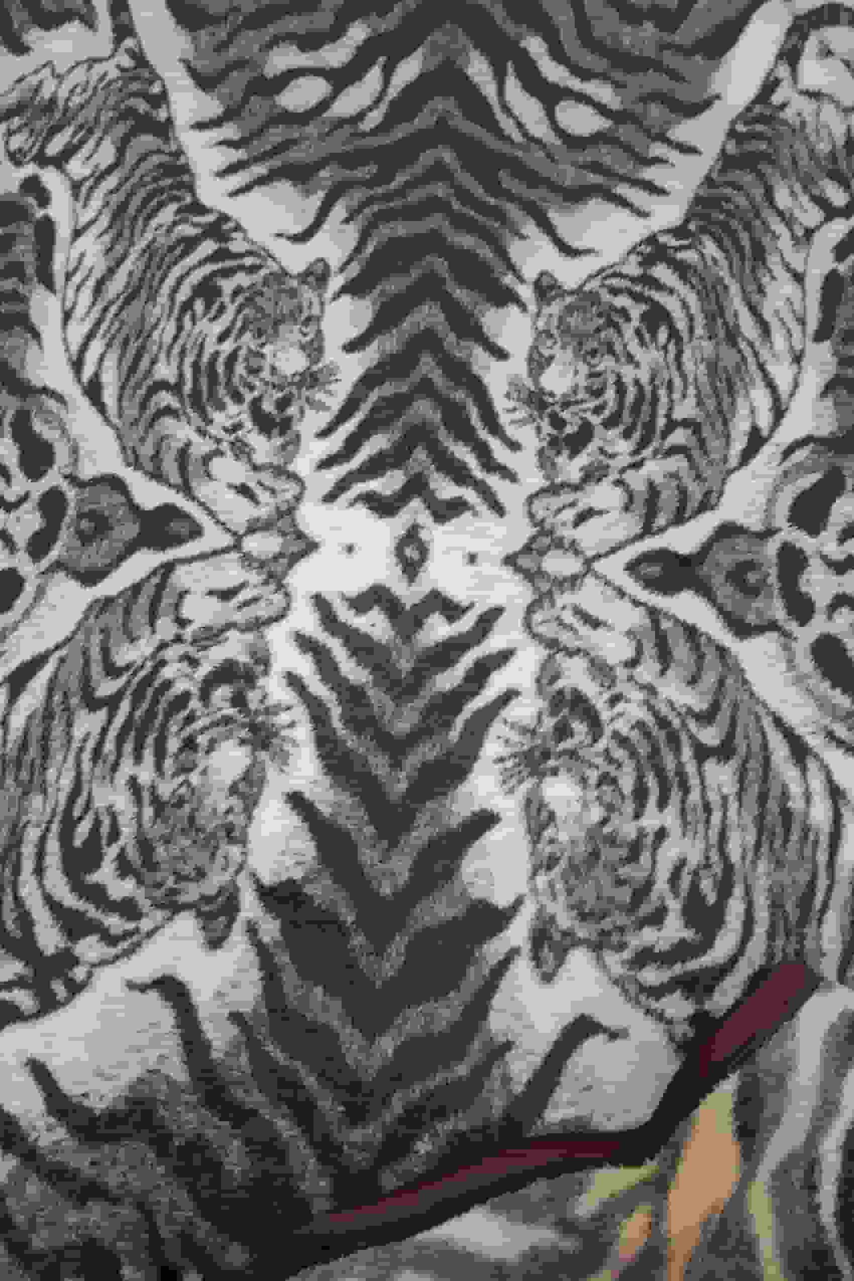 تصویر 3 از پتو ببری ایرانی