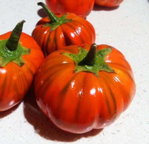 تصویر 2 از بادمجان قرمز ترکی ارگانیک و با طعم غنی طبیعی