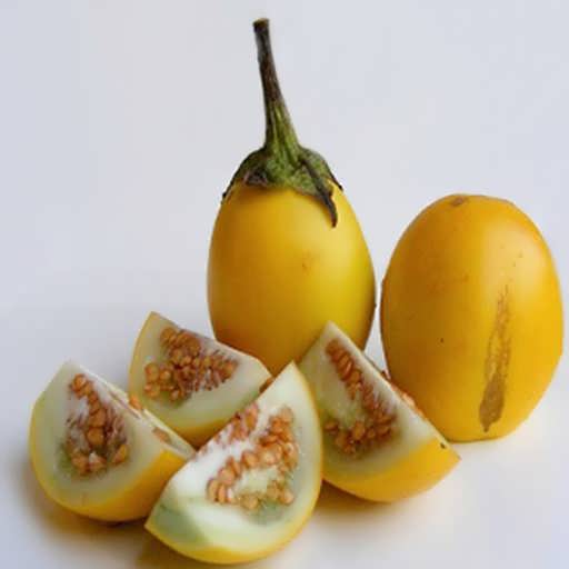 تصویر 3 از بادمجان زینتی با رنگ‌ های جذاب و شکل‌ های منحصر به فرد