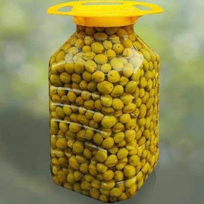 تصویر 4 از زیتون شور مکنزی در بسته بندی شیشه‌ ای لوکس