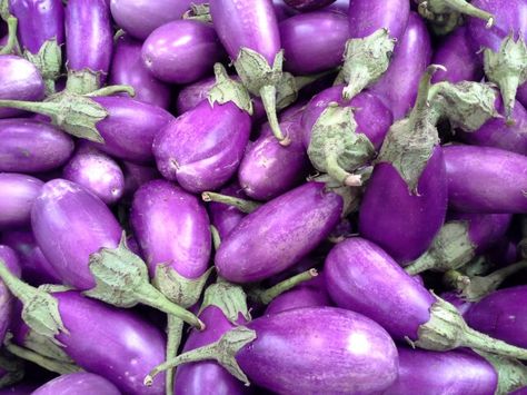 تصویر 4 از بادمجان جگوار ارگانیک شکل استثنایی برای میز های مجلل