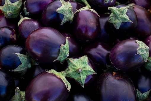 تصویر 2 از بادمجان ریز تازه برداشت شده از مزارع محلی