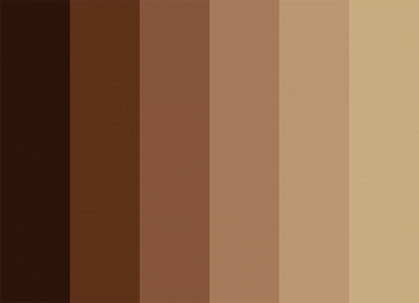 تصویر 4 از رنگ پلاستیک کوپال مخصوص دیوار داخلی و سقف