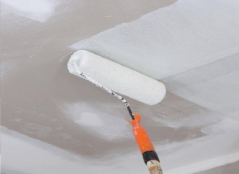 تصویر 4 از رنگ پلاستیک سفید ۵ کیلویی بدون بو و مناسب فضا های بسته