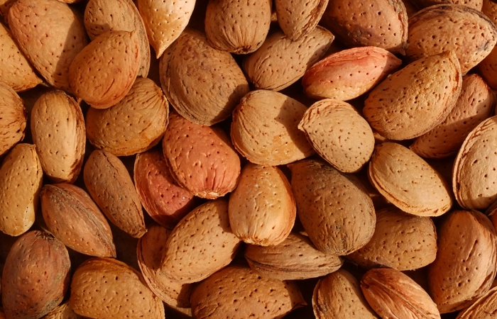 تصویر 2 از بادام درختی با پوست با طعم ملایم و طبیعی با شرایط فوق العاده