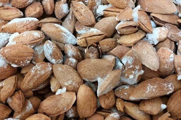 تصویر 4 از بادام پوست کاغذی با کیفیت بالا برای مصارف خانگی