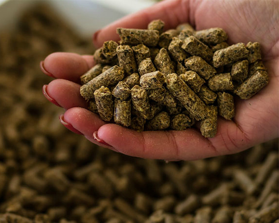 تصویر 2 از کود مرغی اصفهان فرآورده سازگار با اقلیم مرکزی