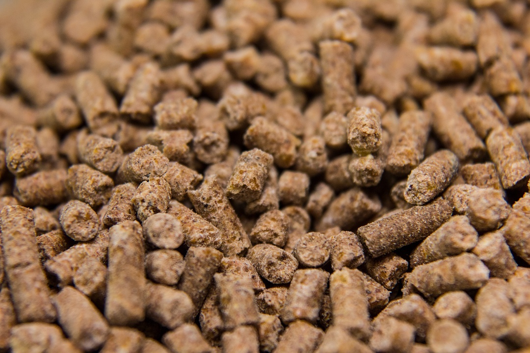 تصویر 1 از کود مرغی اصفهان فرآورده سازگار با اقلیم مرکزی