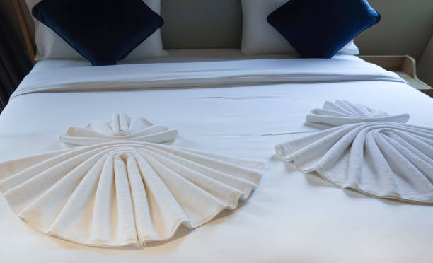 ملحفه پتو هتلی نانو محافظ در برابر ریختن مایعات و خوراکی‌ روی سطوح