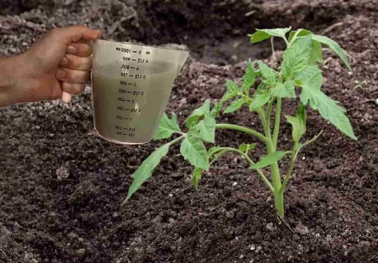 تصویر 1 از کود مرغی امکان پاور با عملکرد پایدار خاک