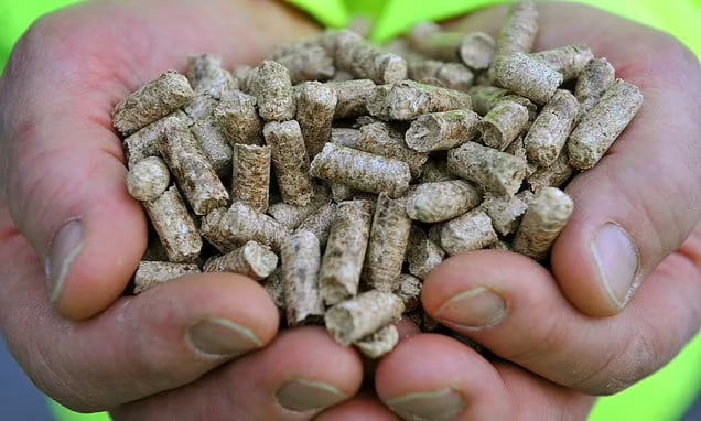 تصویر 3 از کود مرغی الکان طلایی مناسب بازسازی زمین کشاورزی