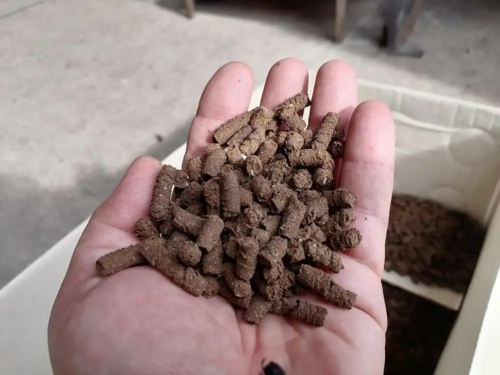 تصویر 4 از کود مرغی الکان طلایی مناسب بازسازی زمین کشاورزی