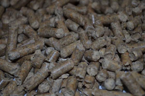 تصویر 3 از کود مرغی پلیت با آزادسازی تدریجی