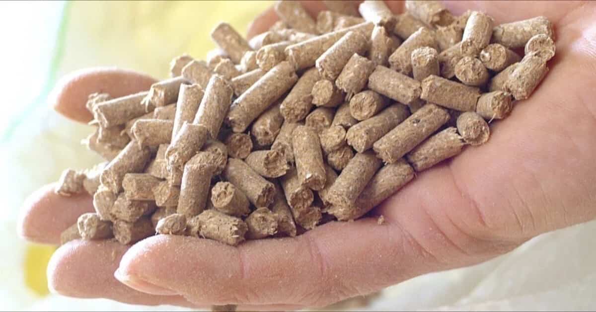 تصویر 4 از کود مرغی پلت شده برای پایداری تغذیه