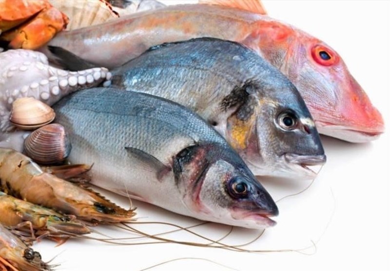تصویر 1 از عرضه عمده ماهی دریایی جنوب صادراتی