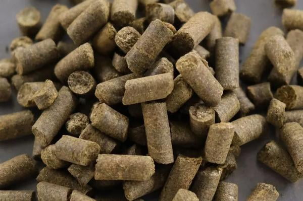 تصویر 3 از کود مرغی تازه منبع طبیعی مواد آلی