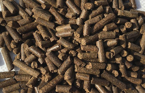 تصویر 1 از کود مرغی سبزوار تقویت کننده خاک نیمه خشک