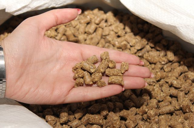 کود مرغی زعفران پشتیبان خاک سبک با کیفیت مطرح