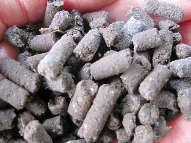 تصویر 4 از کود مرغی زعفران پشتیبان خاک سبک با کیفیت مطرح