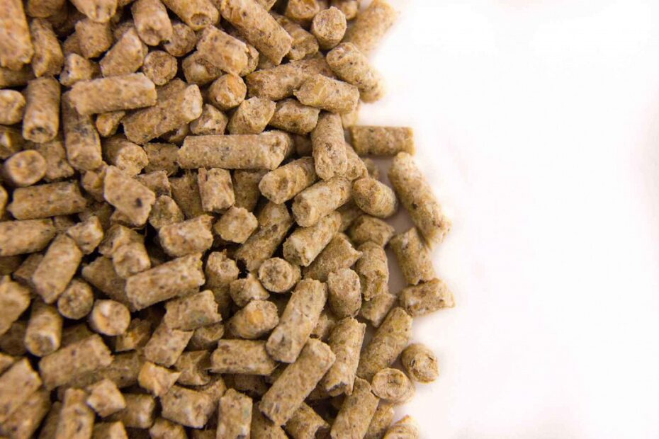 تصویر 3 از کود مرغی زعفران پشتیبان خاک سبک با کیفیت مطرح