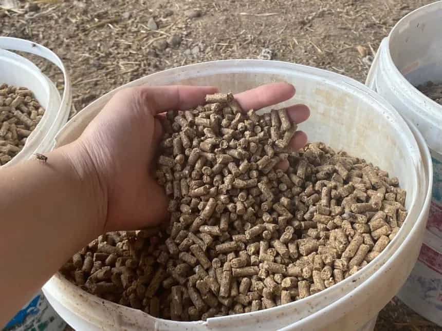 تصویر 1 از کود مرغی برای زمین کشاورزی پایه تغذیه خاک