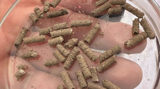 تصویر 4 از کود مرغی طبیعی پشتیبان تعادل زیستی خاک و افزایش سطح کیفی