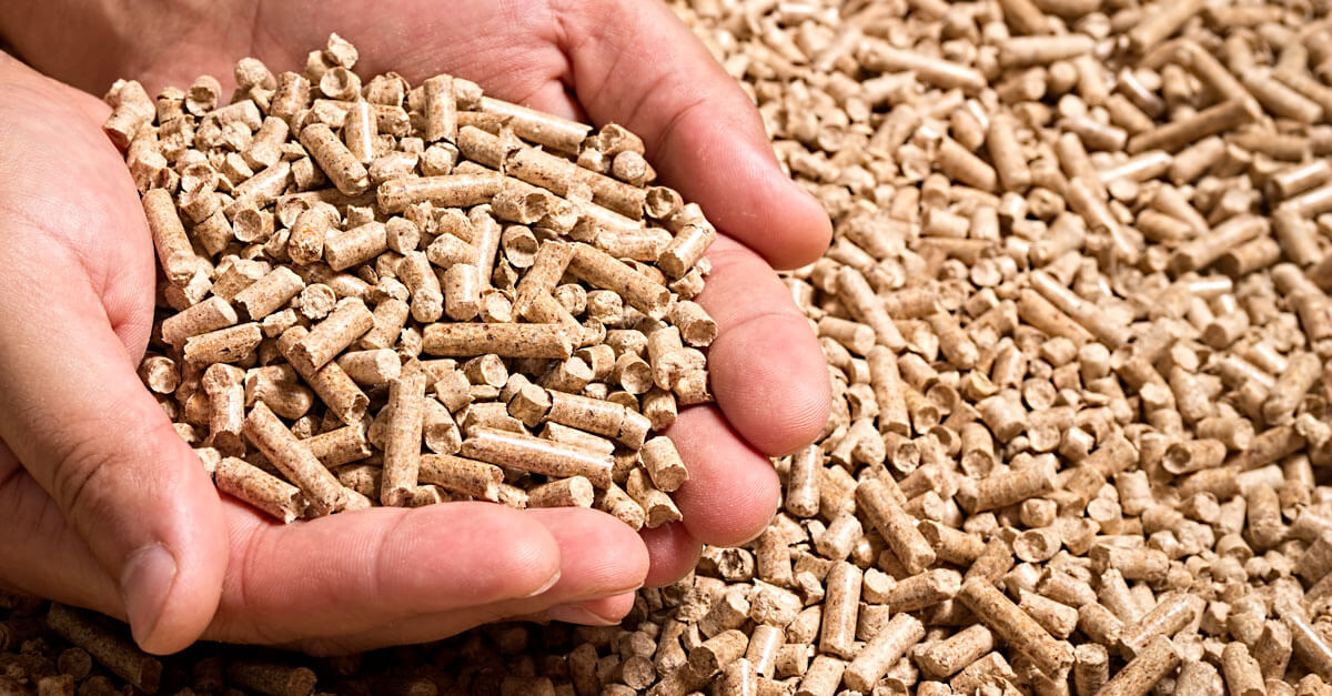 تصویر 4 از کود مرغی صادراتی با استاندارد فرآوری بالا و شرایط خاص