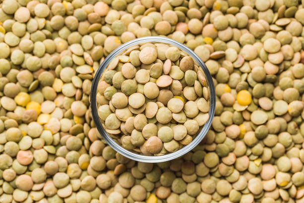 تصویر 5 از عدس ساسکن پاک شده با رنگ طبیعی و کیفیت یکنواخت