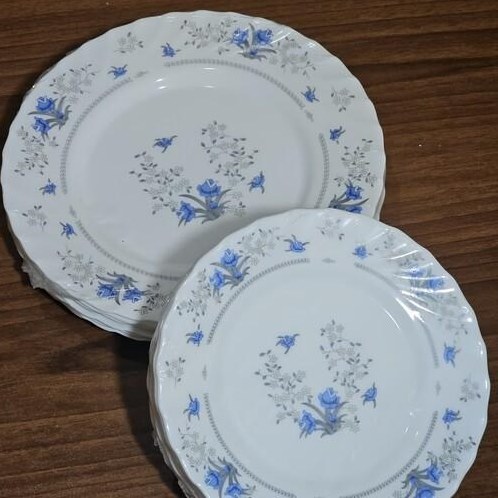 تصویر 2 از بشقاب آرکوپال آبی با رنگ ثابت و ماندگار