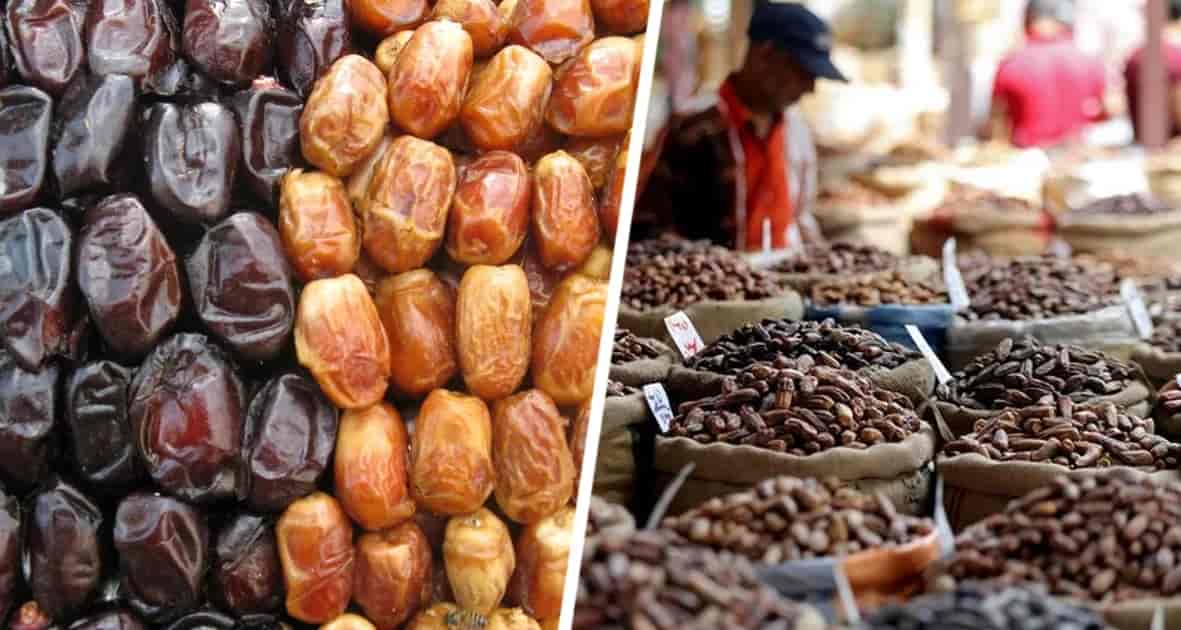 تصویر 4 از خرما مضافتی تندیس با بافتی متراکم و اندازه های متوسط