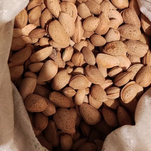 تصویر 4 از بادام درختی سنگی بافت سفت مناسب نگهداری طولانی