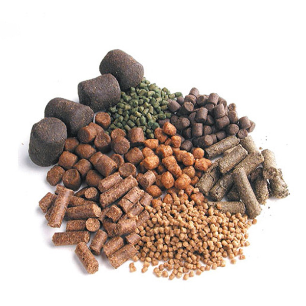 غذای ماهی های آکواریومی با بافت پایدار در آب