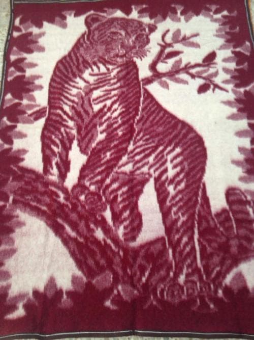 تصویر 3 از پتو پلنگی مسافرتی ایرانی با کیفیت تضمینی