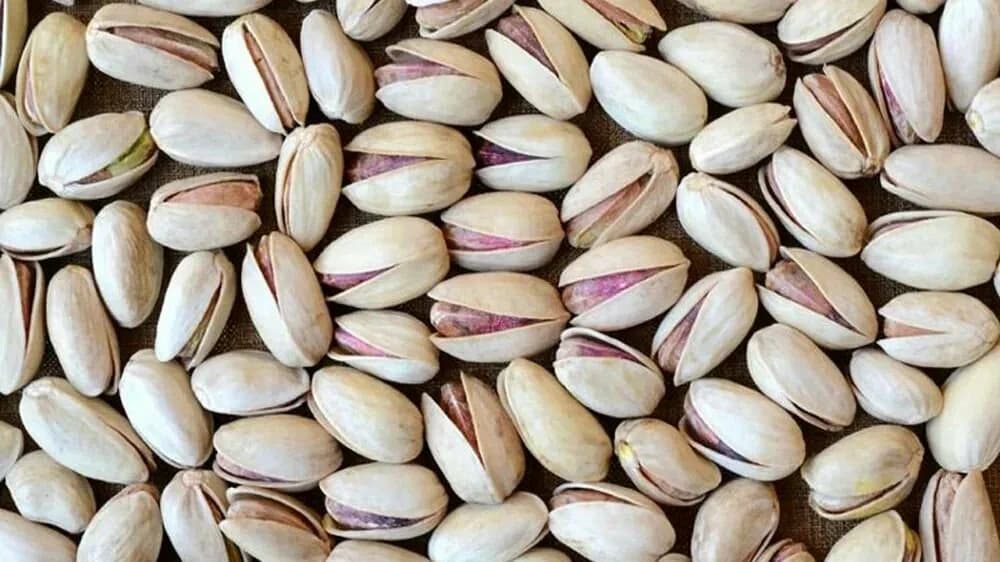 تصویر 4 از پسته احمد آقایی شور ترد و تازه با فرآوری اصولی