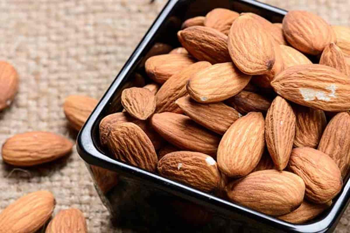 تصویر 4 از بادام درختی یزد خاستگاه کویری با شرایط اقلیمی خاص