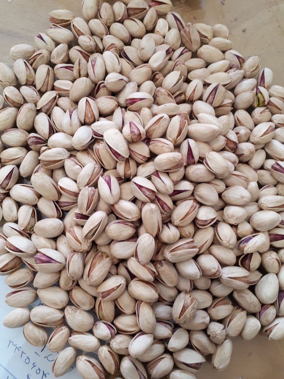 پسته اکبری دستچین ممتاز امسالی با طعم طبیعی و پوسته روشن