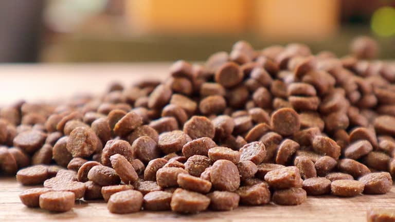 تصویر 3 از غذای سگ بالغ مفید برای تقویت مفاصل و سلامتی