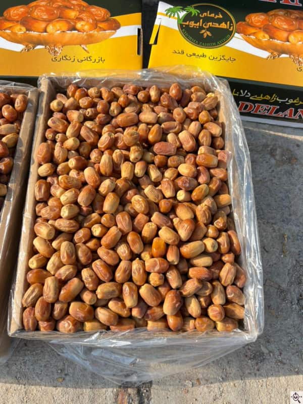 خرما زاهدی ایوب در بسته‌ بندی بهداشتی و ایمن