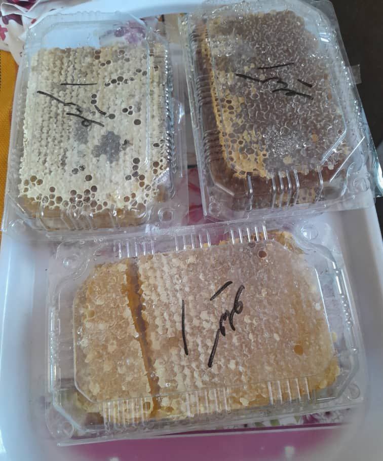 خرید عسل چهل گیاه کردستان + قیمت فروش استثنایی