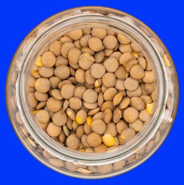 تصویر 3 از عدس ریز مرغوب درجه یک با دانه های یکدست پخت سریع