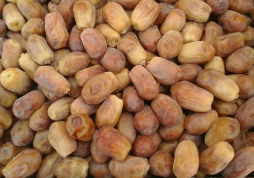 خرما زاهدی ریز سالم و بهداشتی با ماندگاری بالا