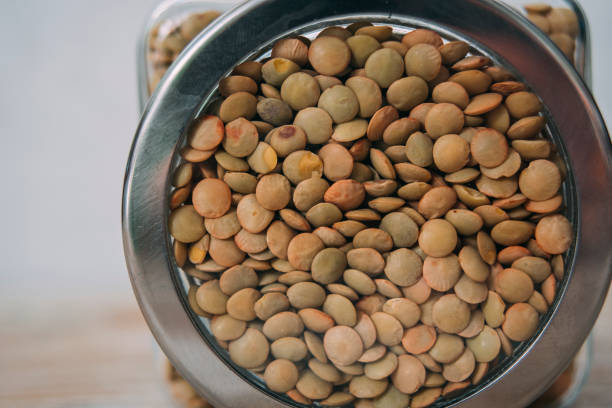 تصویر 3 از عدس سبز ارگانیک کشت طبیعی بدون سم مناسب تغذیه سالم