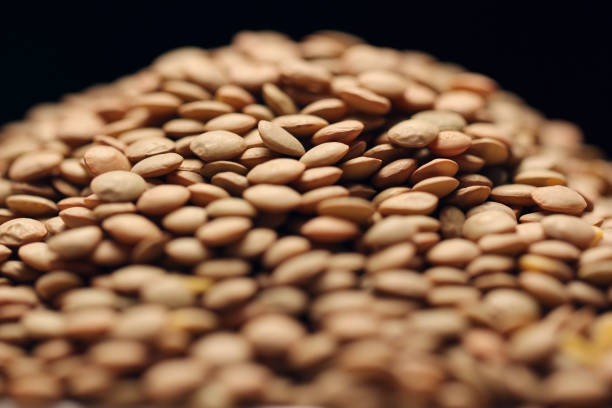 تصویر 4 از عدس سبز ارگانیک کشت طبیعی بدون سم مناسب تغذیه سالم