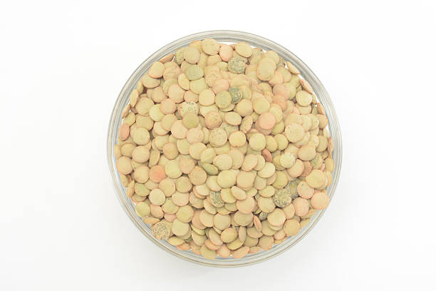 تصویر 5 از عدس گلستان دست چین شده بدون شن و سنگ مناسب آشپزی راحت