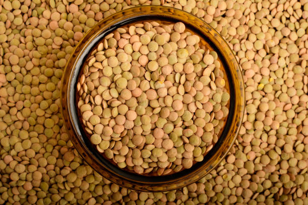 تصویر 4 از عدس گلستان دست چین شده بدون شن و سنگ مناسب آشپزی راحت