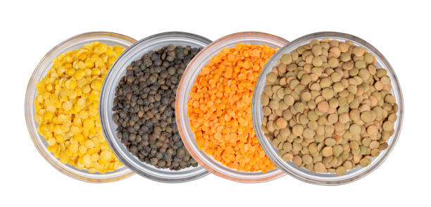 تصویر 4 از عدس قرمز با دانه های کوچک یکدست مناسب دال و خورشت