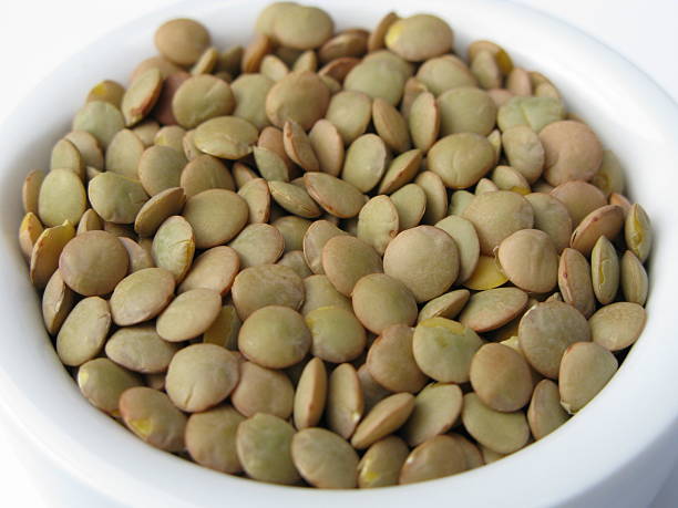 عدس سپیدار تازه برداشت شده با رنگ طبیعی و درخشان