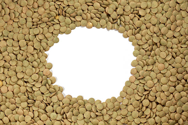 تصویر 3 از عدس سپیدار تازه برداشت شده با رنگ طبیعی و درخشان